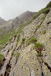 Ref. Caltun, Lac Avrig