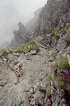 Ref. Caltun, Lac Avrig