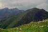 Ref. Caltun, Lac Avrig