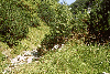 Pestera Chiliilor, Valea Horoabelor, Doamnele, Vf. Omu, Valea Cerbului