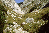 Pestera Chiliilor, Valea Horoabelor, Doamnele, Vf. Omu, Valea Cerbului