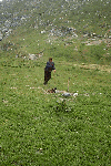 Pestera Chiliilor, Valea Horoabelor, Doamnele, Vf. Omu, Valea Cerbului
