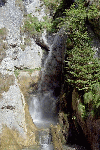 Pestera Chiliilor, Valea Horoabelor, Doamnele, Vf. Omu, Valea Cerbului