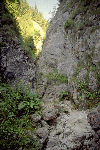 Pestera Chiliilor, Valea Horoabelor, Doamnele, Vf. Omu, Valea Cerbului