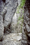 Pestera Chiliilor, Valea Horoabelor, Doamnele, Vf. Omu, Valea Cerbului