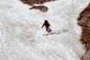 Concurs de ski pe Valea Malinului, Ecoul Malinului