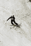 Concurs de ski pe Valea Malinului, Ecoul Malinului