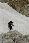 Concurs de ski pe Valea Malinului, Ecoul Malinului