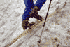 Concurs de ski pe Valea Malinului, Ecoul Malinului