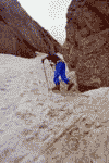 Concurs de ski pe Valea Malinului, Ecoul Malinului