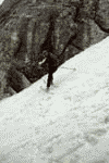 Concurs de ski pe Valea Malinului, Ecoul Malinului