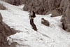 Concurs de ski pe Valea Malinului, Ecoul Malinului