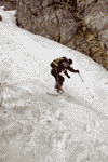Concurs de ski pe Valea Malinului, Ecoul Malinului