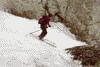 Concurs de ski pe Valea Malinului, Ecoul Malinului