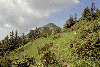 Piatra Craiului, Creasta Craiului, Creasta Nordica, Creasta Sudica