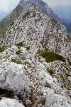 Piatra Craiului, Creasta Craiului, Creasta Nordica, Creasta Sudica
