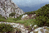 Piatra Craiului, Creasta Craiului, Creasta Nordica, Creasta Sudica