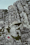 Piatra Craiului, Creasta Craiului, Creasta Nordica, Creasta Sudica