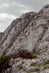 Piatra Craiului, Creasta Craiului, Creasta Nordica, Creasta Sudica