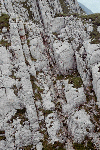 Piatra Craiului, Creasta Craiului, Creasta Nordica, Creasta Sudica