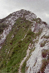 Piatra Craiului, Creasta Craiului, Creasta Nordica, Creasta Sudica