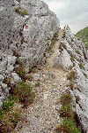 Piatra Craiului, Creasta Craiului, Creasta Nordica, Creasta Sudica
