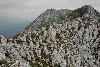Piatra Craiului, Creasta Craiului, Creasta Nordica, Creasta Sudica