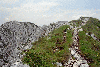 Piatra Craiului, Creasta Craiului, Creasta Nordica, Creasta Sudica