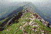 Piatra Craiului, Creasta Craiului, Creasta Nordica, Creasta Sudica