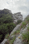 Piatra Craiului, Creasta Craiului, Creasta Nordica, Creasta Sudica