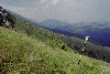 Piatra Craiului, Creasta Craiului, Creasta Nordica, Creasta Sudica