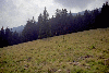 Piatra Craiului, Creasta Craiului, Creasta Nordica, Creasta Sudica
