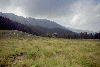 Piatra Craiului, Creasta Craiului, Creasta Nordica, Creasta Sudica