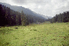 Piatra Craiului, Creasta Craiului, Creasta Nordica, Creasta Sudica