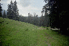 Piatra Craiului, Creasta Craiului, Creasta Nordica, Creasta Sudica