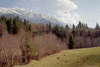 Zarnesti, Plaiul Foii, Ref. Spirlea