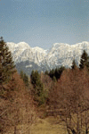 Zarnesti, Plaiul Foii, Ref. Spirlea
