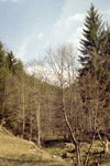 Zarnesti, Plaiul Foii, Ref. Spirlea