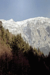 Zarnesti, Plaiul Foii, Ref. Spirlea