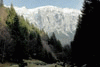 Zarnesti, Plaiul Foii, Ref. Spirlea