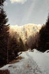 Zarnesti, Plaiul Foii, Ref. Spirlea