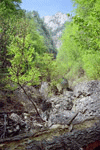 Valcelul Suspendat, Vf. Picatura, Albisoara Marelui V