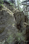 Valcelul Suspendat, Vf. Picatura, Albisoara Marelui V