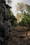 Valcelul Suspendat, Vf. Picatura, Albisoara Marelui V