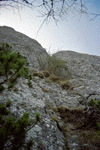Valcelul Suspendat, Vf. Picatura, Albisoara Marelui V
