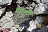 Valcelul Suspendat, Vf. Picatura, Albisoara Marelui V