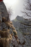 Valcelul Suspendat, Vf. Picatura, Albisoara Marelui V