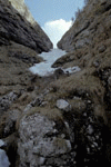 Valcelul Suspendat, Vf. Picatura, Albisoara Marelui V