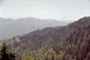 Platou Bucegi, Piciorul Pietrei Arse