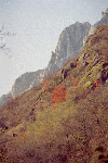 Cheile Rametului (pe sus)